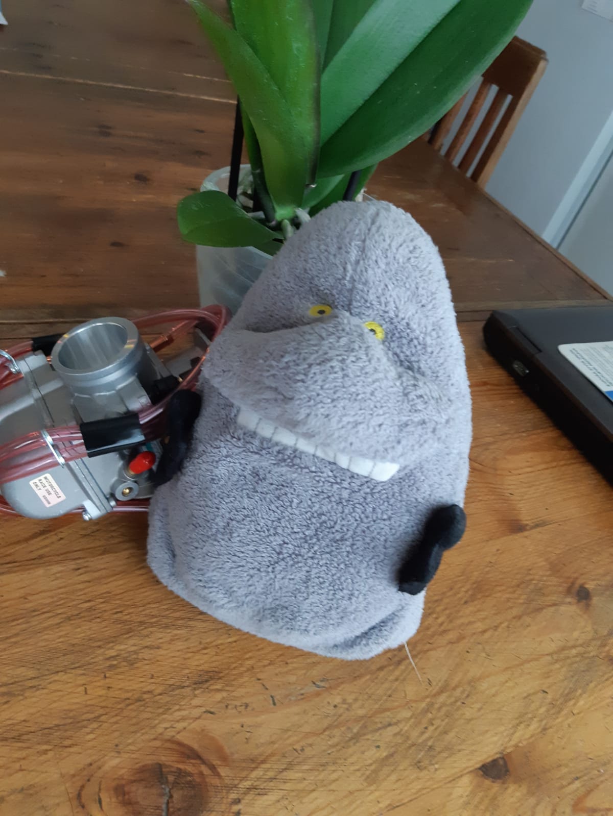 WhatsApp Image 2019-05-27 at 19.16.25.jpeg